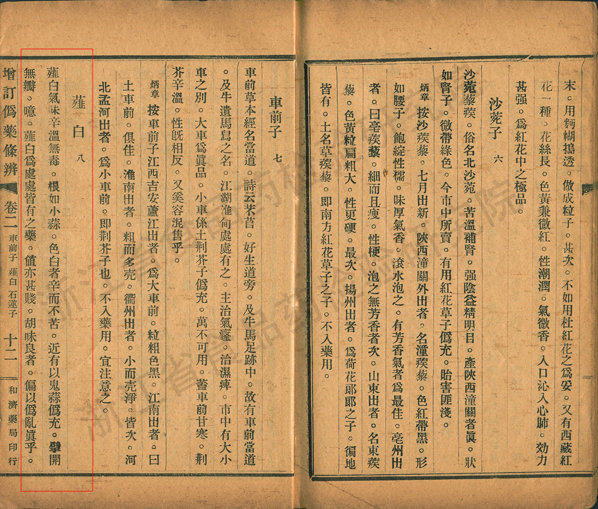 薤白 民国《增订伪药条辨》 资料图