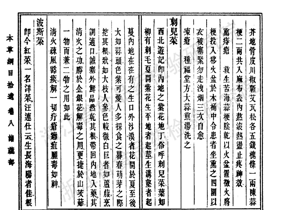 小蓟 清《本草纲目拾遗》 资料图