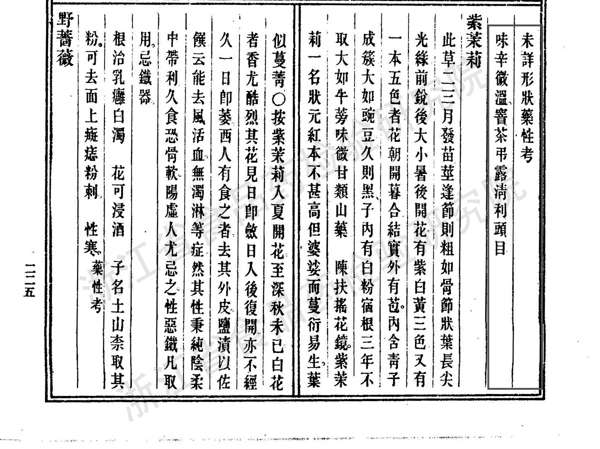 丁香 清《本草纲目拾遗》 资料图