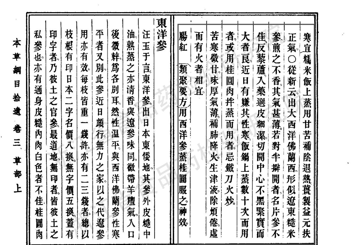 西洋参 清 《本草纲目拾遗》 资料图