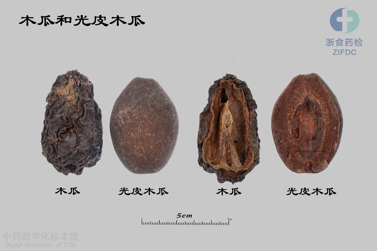 木瓜 光皮木瓜 资料图
