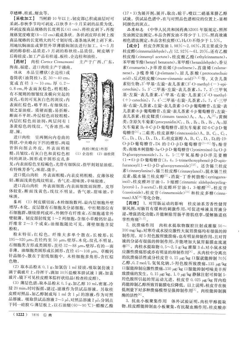 肉桂 现代《中药大辞典》 资料图