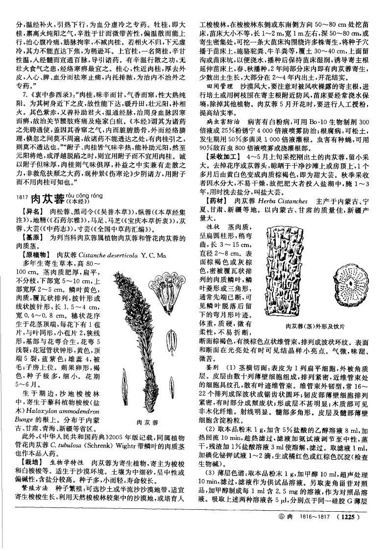 肉苁蓉 现代《中药大辞典》 资料图