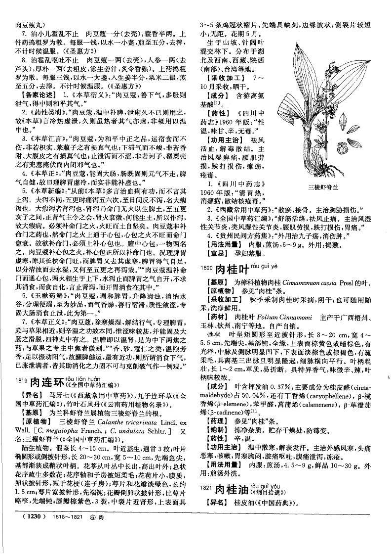 肉豆蔻 现代《中药大辞典》 资料图