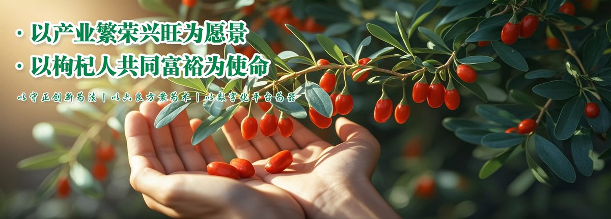 宁夏杞鑫种业有限公司 官网主图