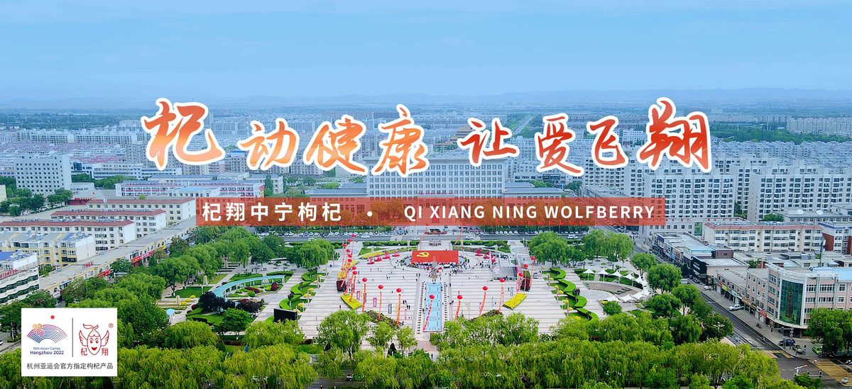 宁夏中宁枸杞产业集团有限公司 官网主图