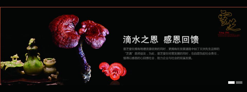 安徽一品堂健康科技有限公司 官网主图