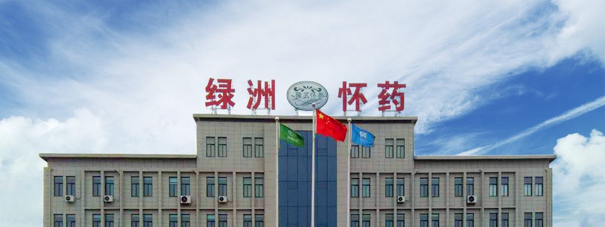 焦作市绿洲怀药生物科技有限公司 官网主图